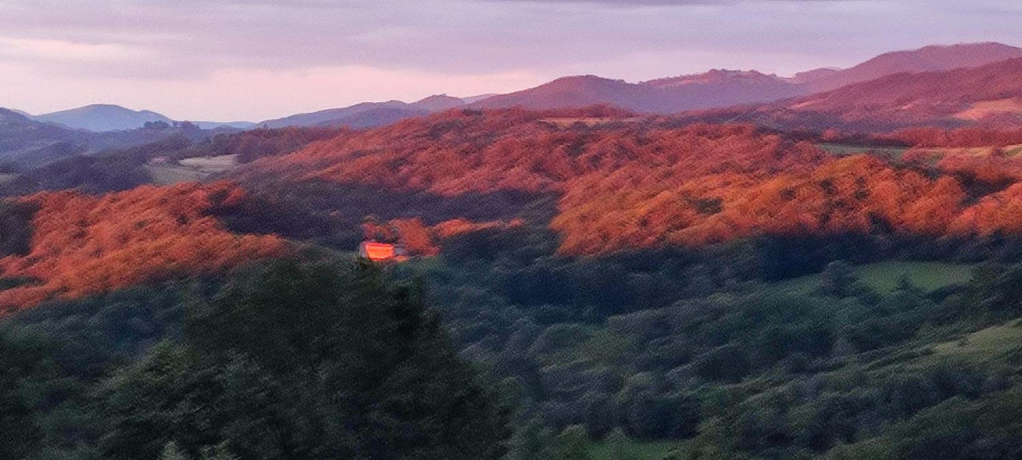 Domaine Le Lanis "Cabane De Pauline" Saint-Girons  Bagian luar foto
